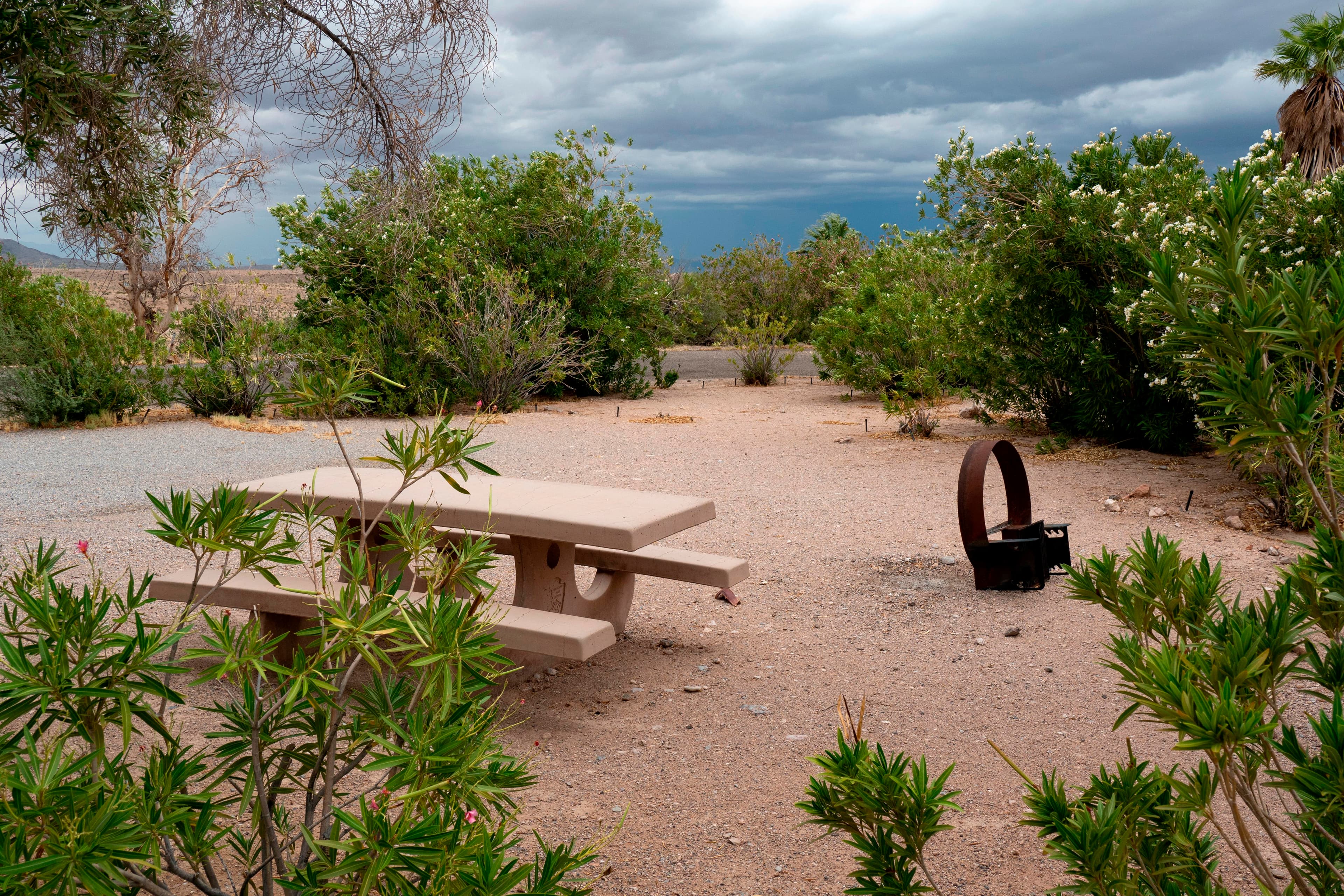 Campsite with desert trees and a picnic table.