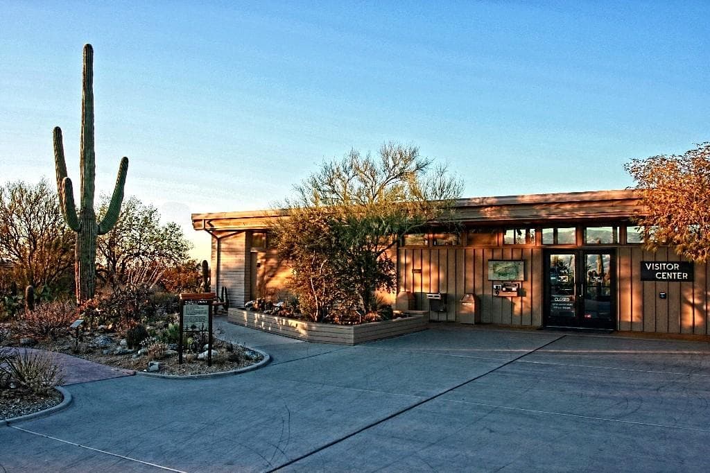 Large Saguaro cactus stands in front of the Rincon Mountain Visitor Center
