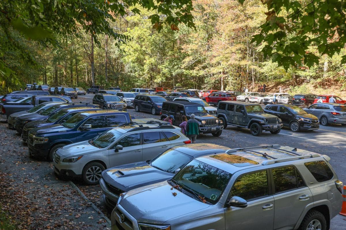 Image of vehicles parked at Laurel Falls Trailhead.
