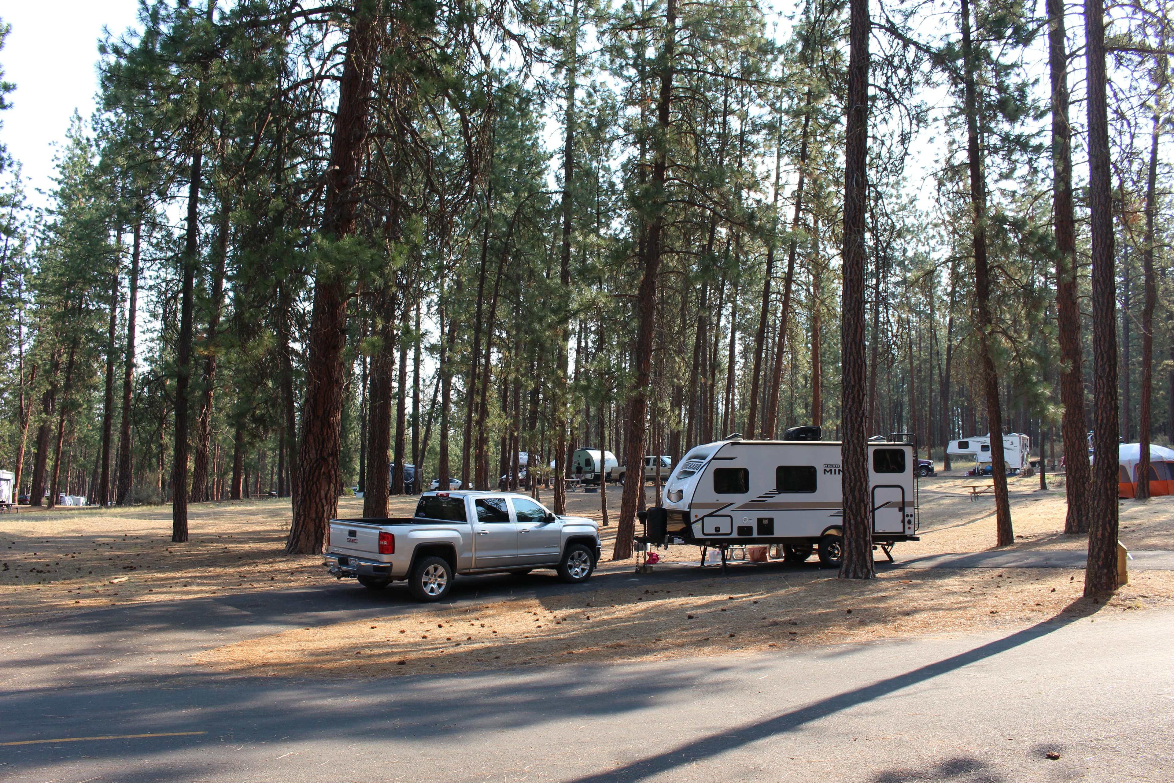 Tall pine trees surround various campsites, including a truck and trailer.