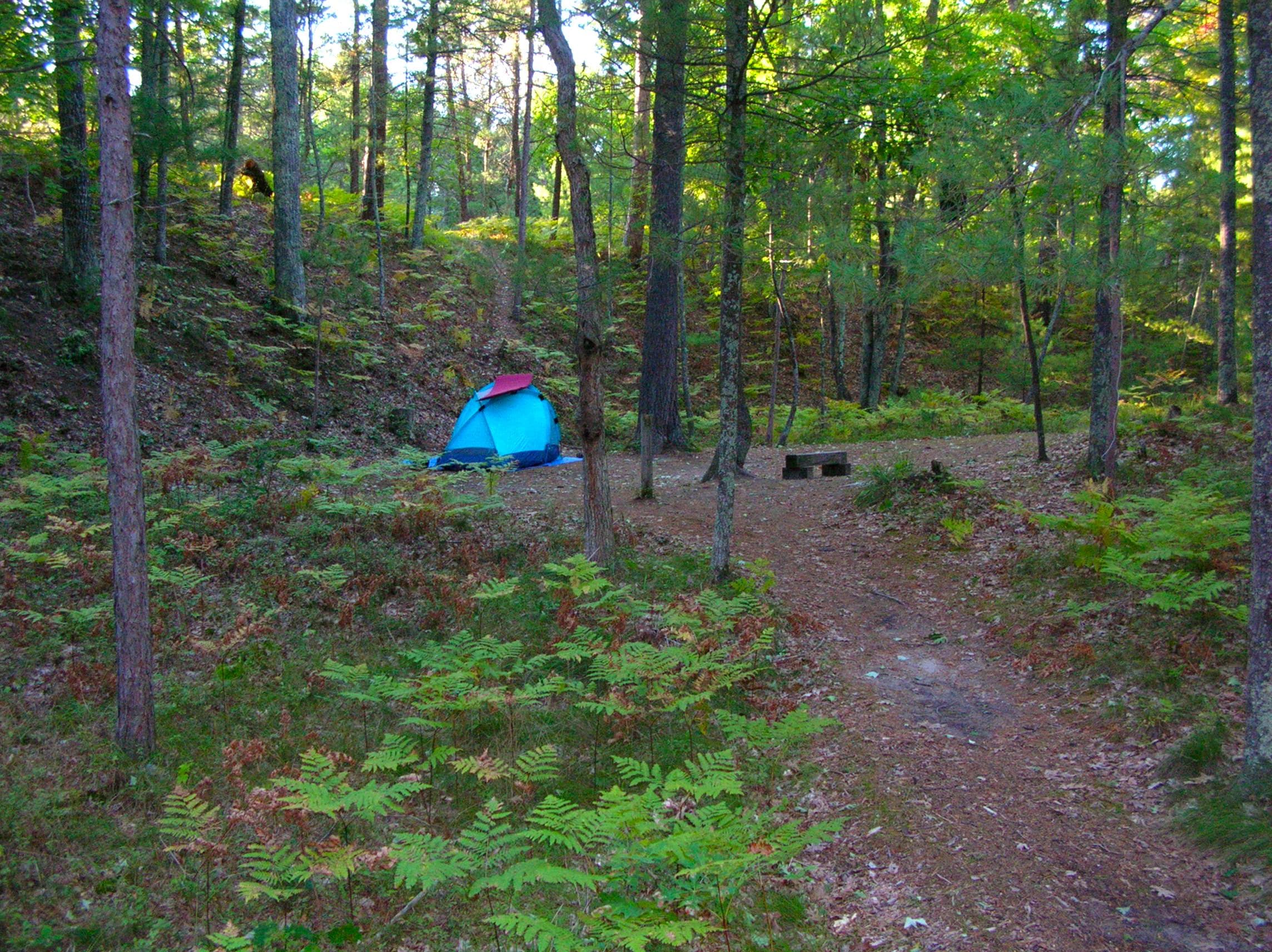 A blue tent nestled in the woods