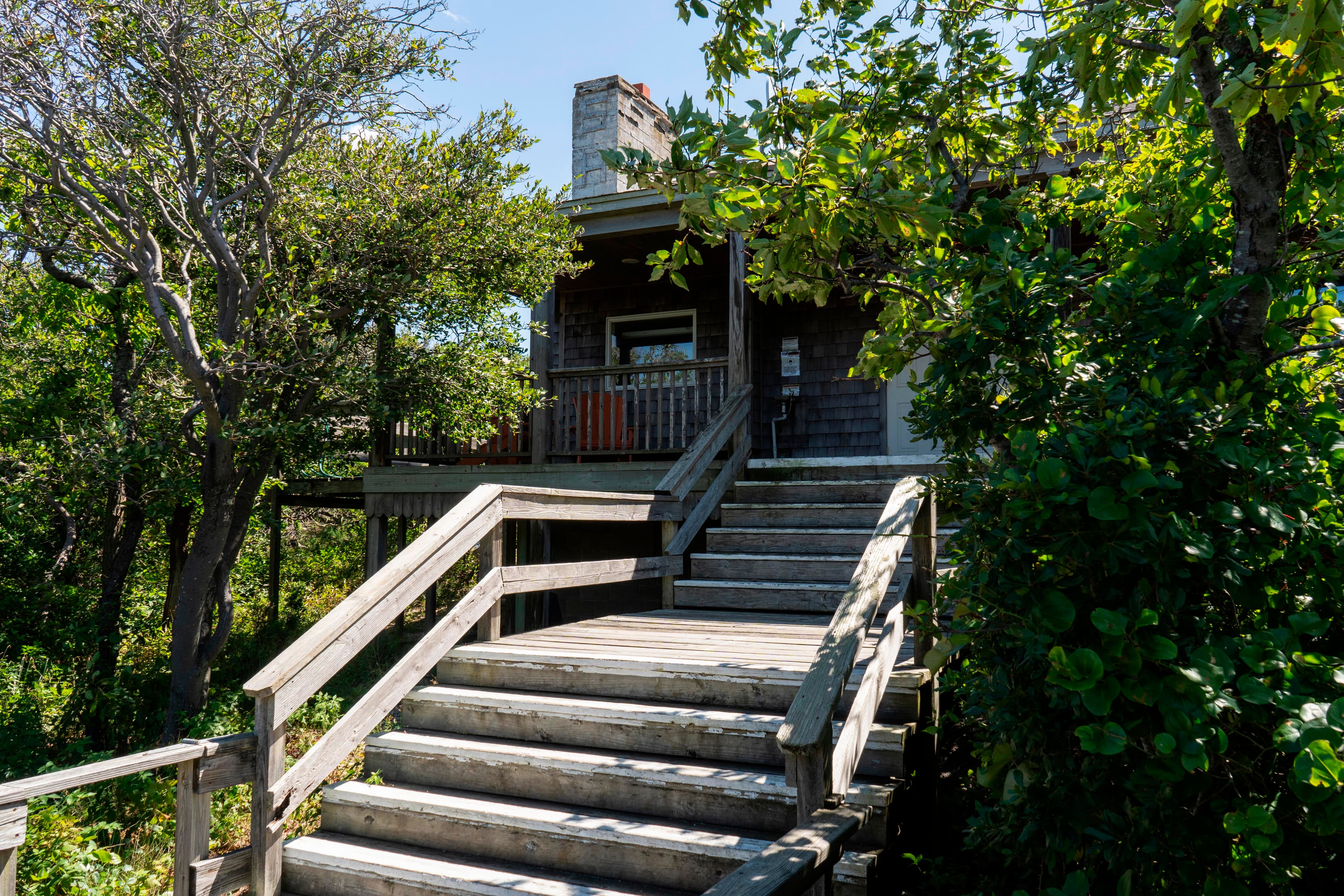 A staircase leads up to a mid-sized visitor center obscurred by lush trees.