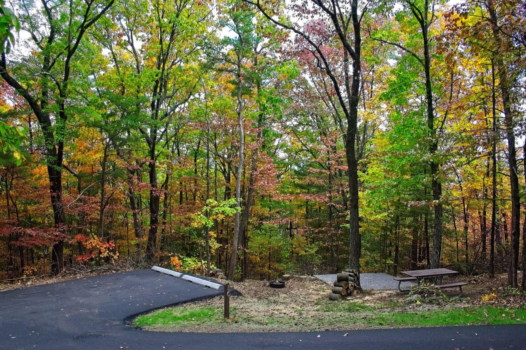 A campsite in early fall surrounded by green, yellow, red, and orange trees.
