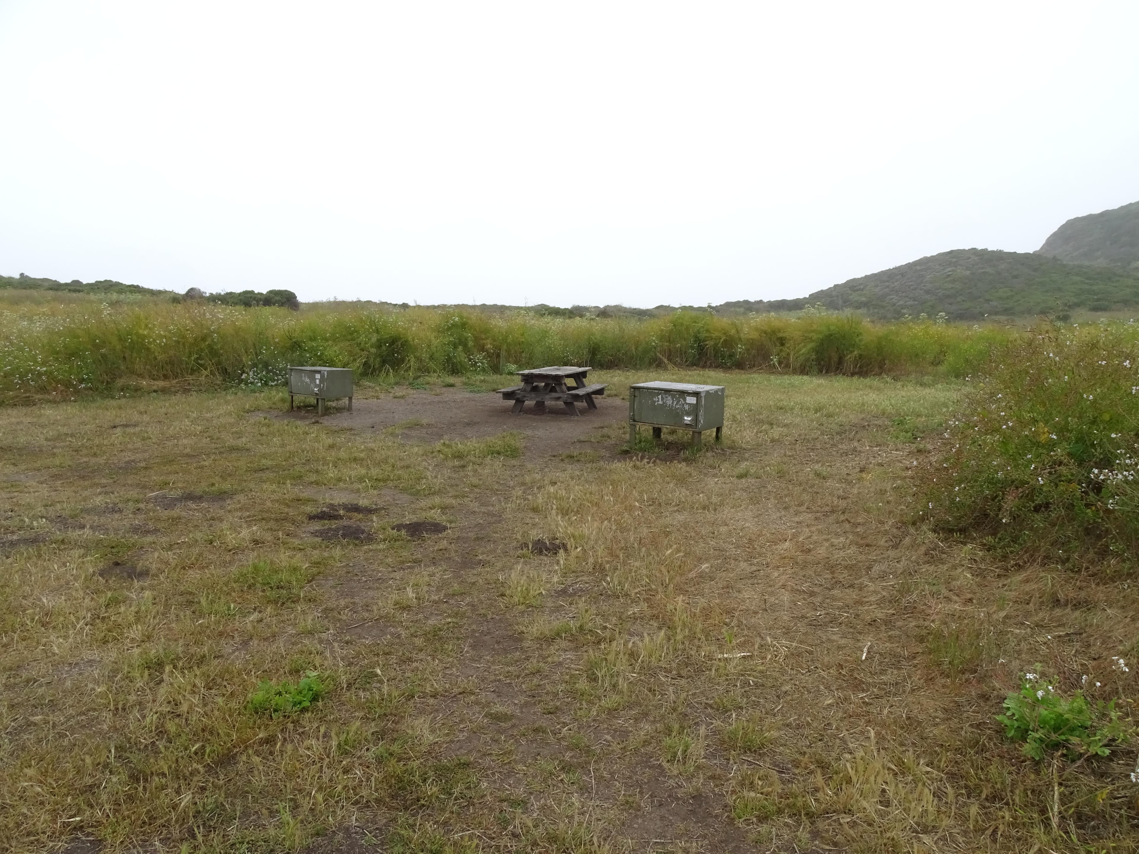 A campsite in a meadow containing a picnic table and two food storage lockers.