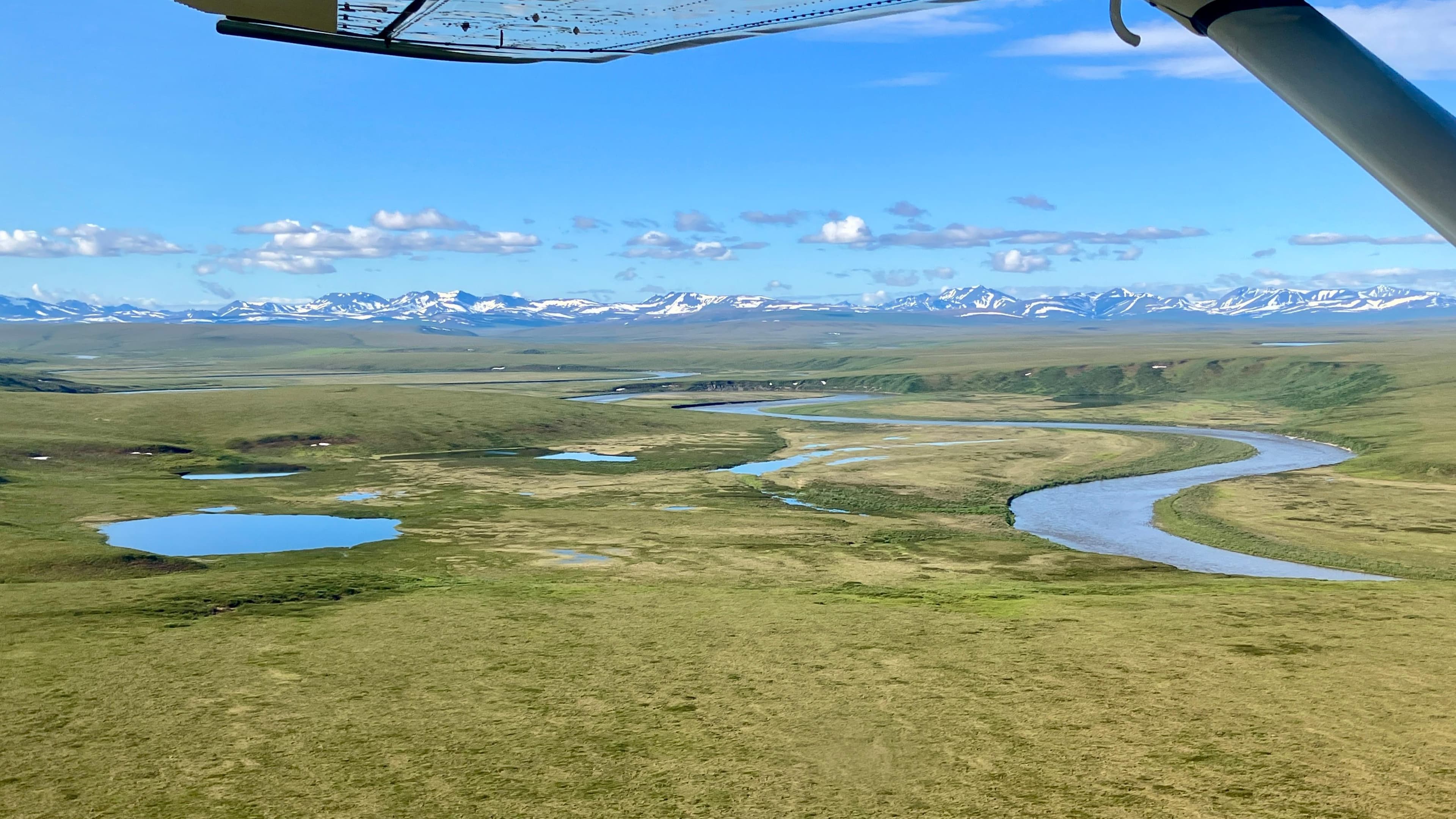 Noatak River cuts through a green tundra landscape with distant mountains.