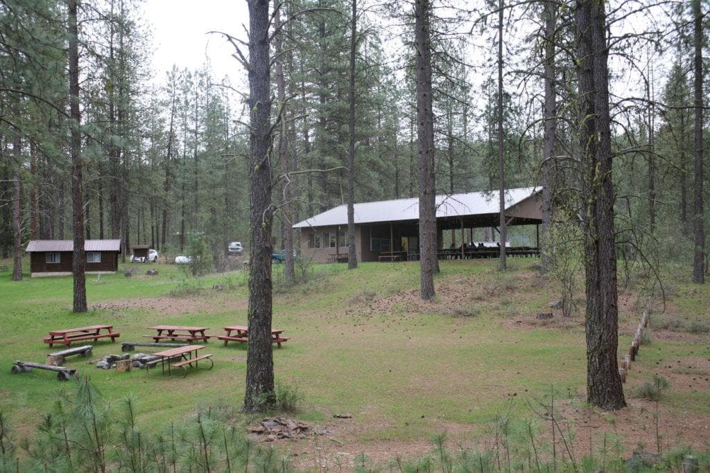 A few benches and a large shade structure in the background, surrounded by pine trees.