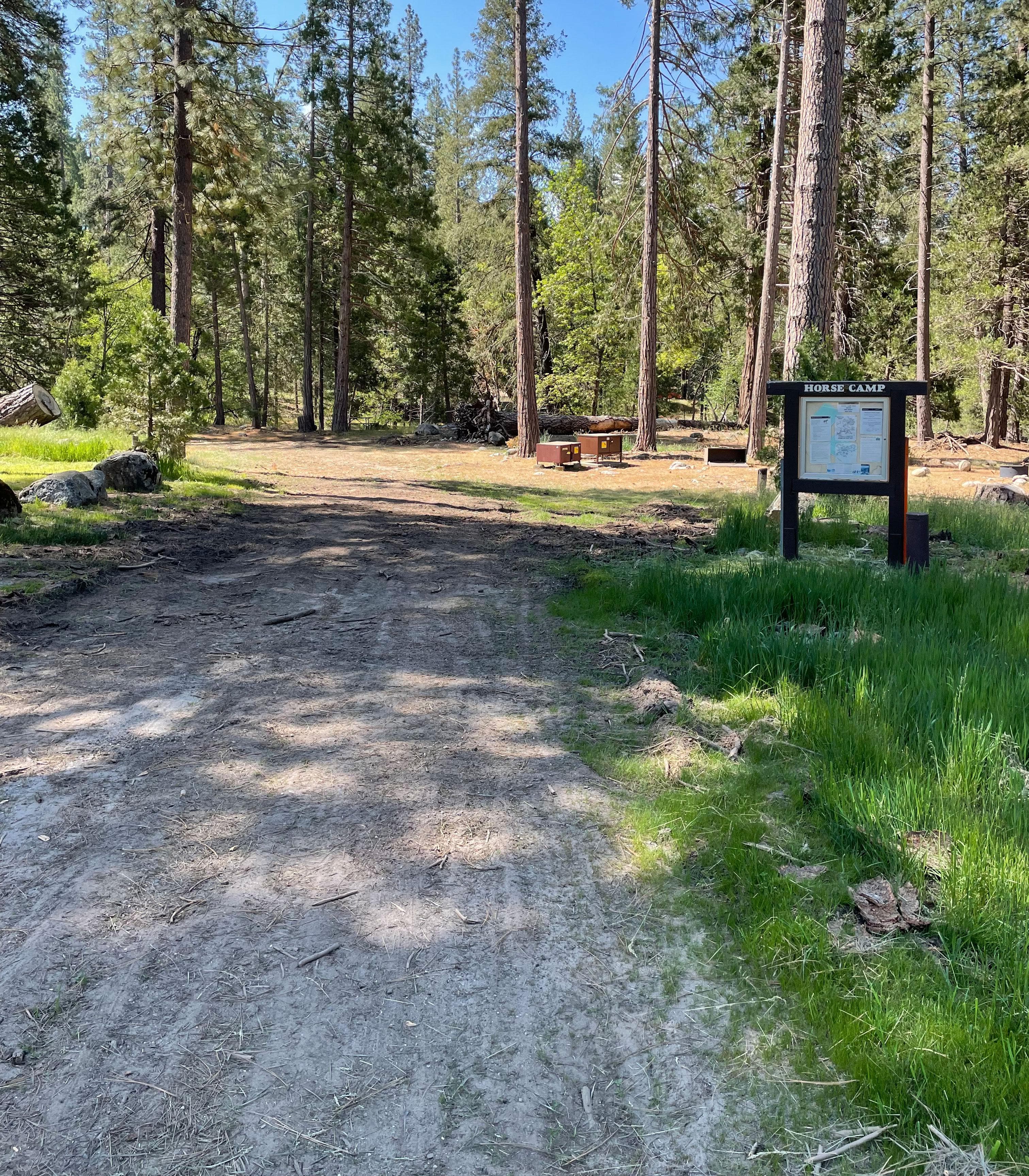 Dirt driveway approaching the campsites