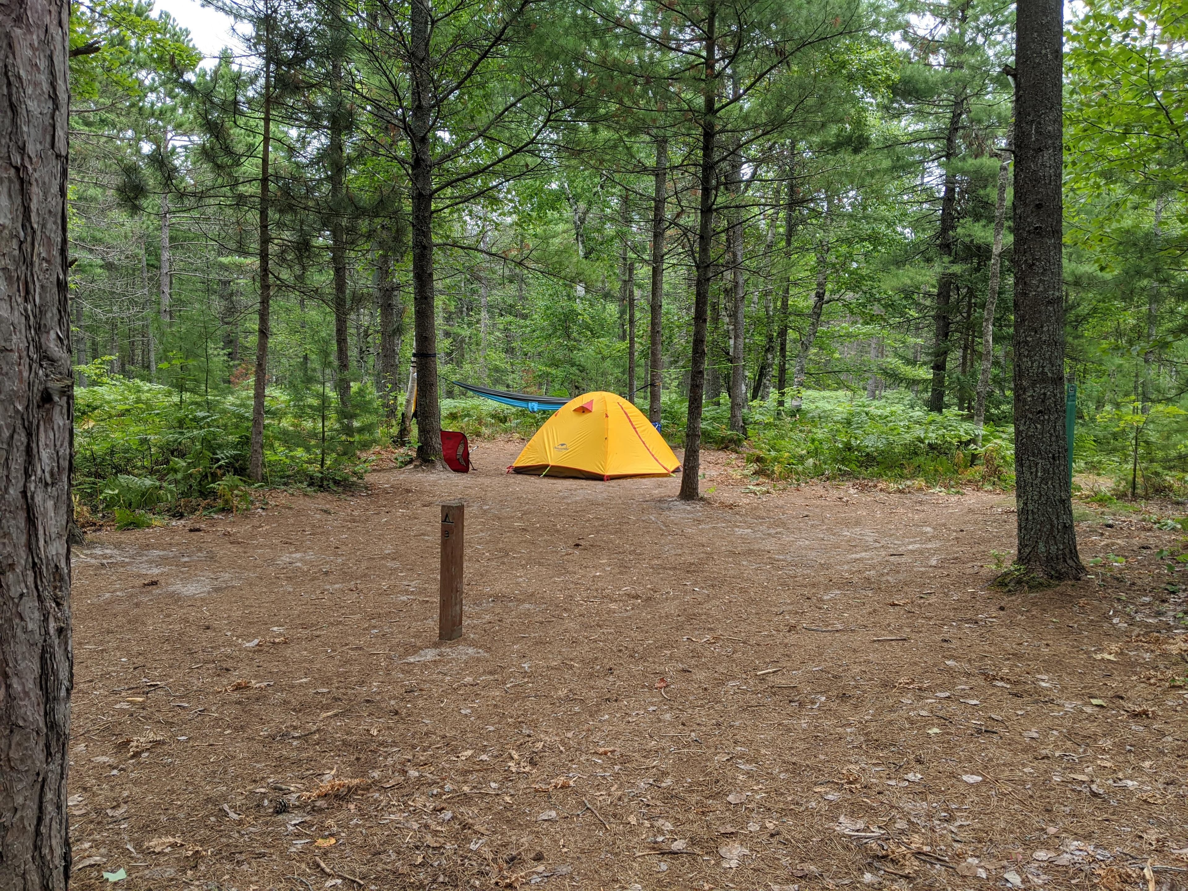 Yellow tent and hammock are set up in a cleared area in the middle of a forest.