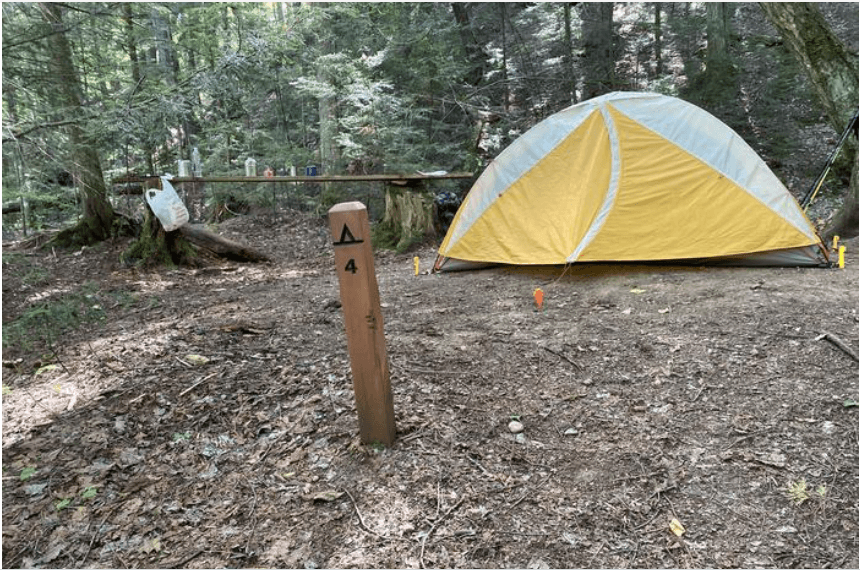 Tent set up at campsite. Brown post near front of site has a tent symbol and the number 4.