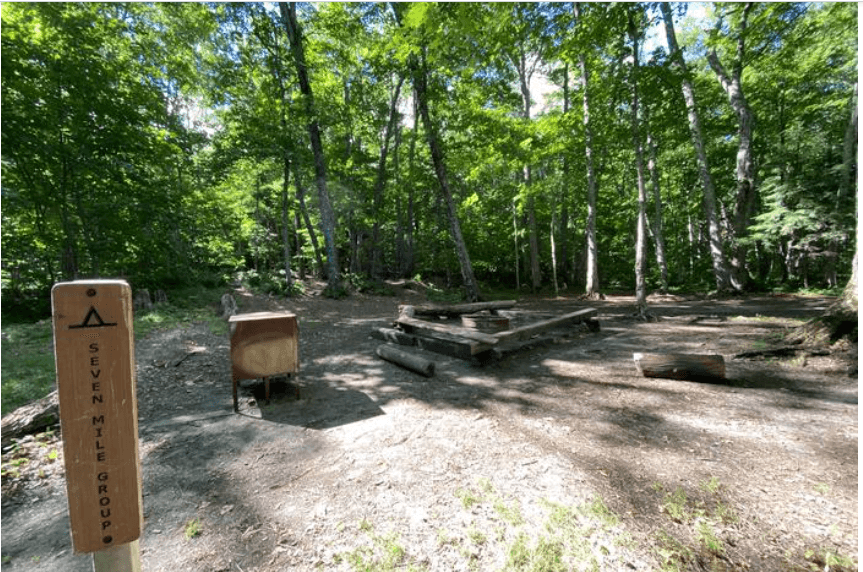 Campsite with log benches arranged in a square around a fire ring.