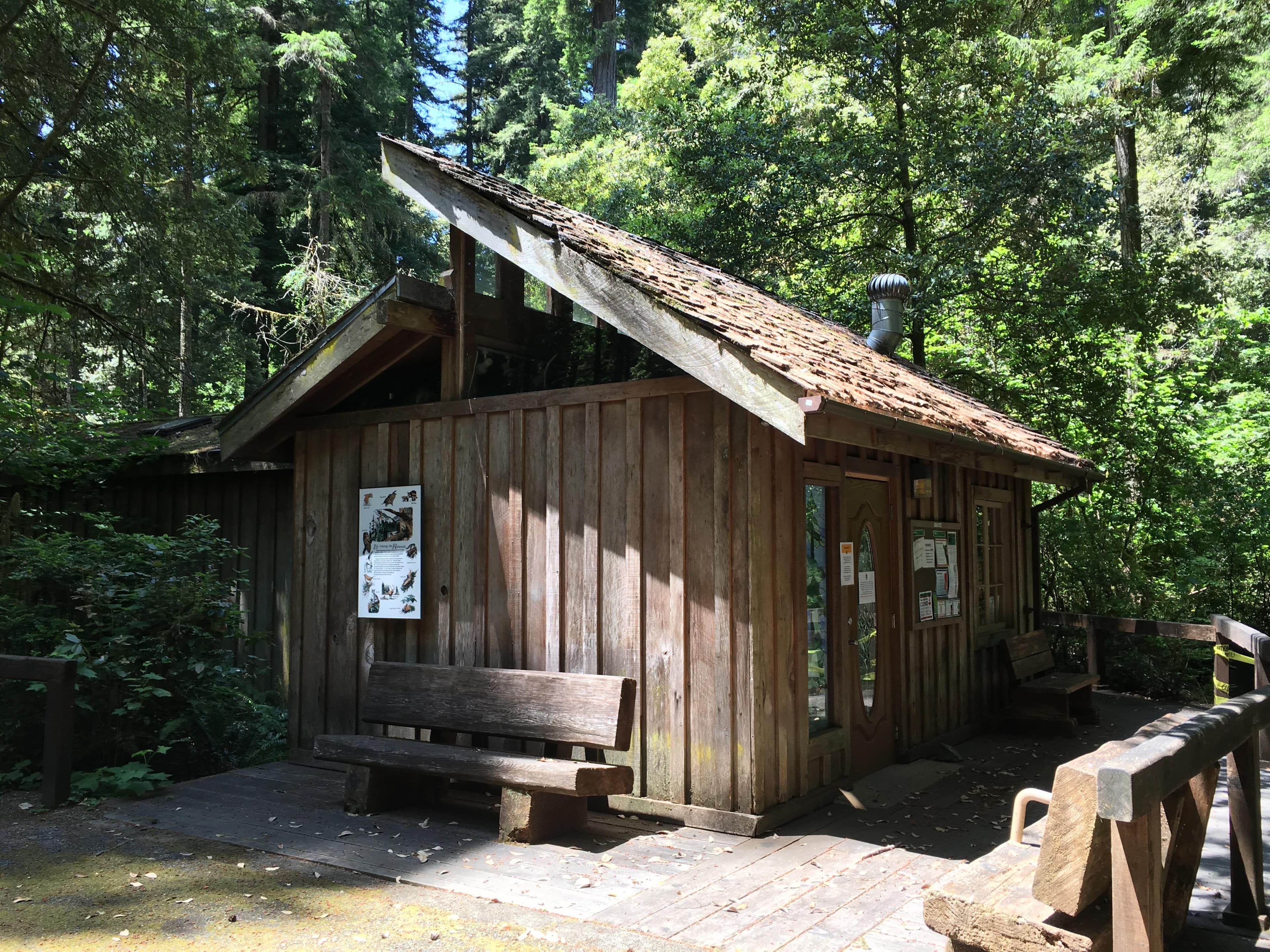 Small building next to redwoods.