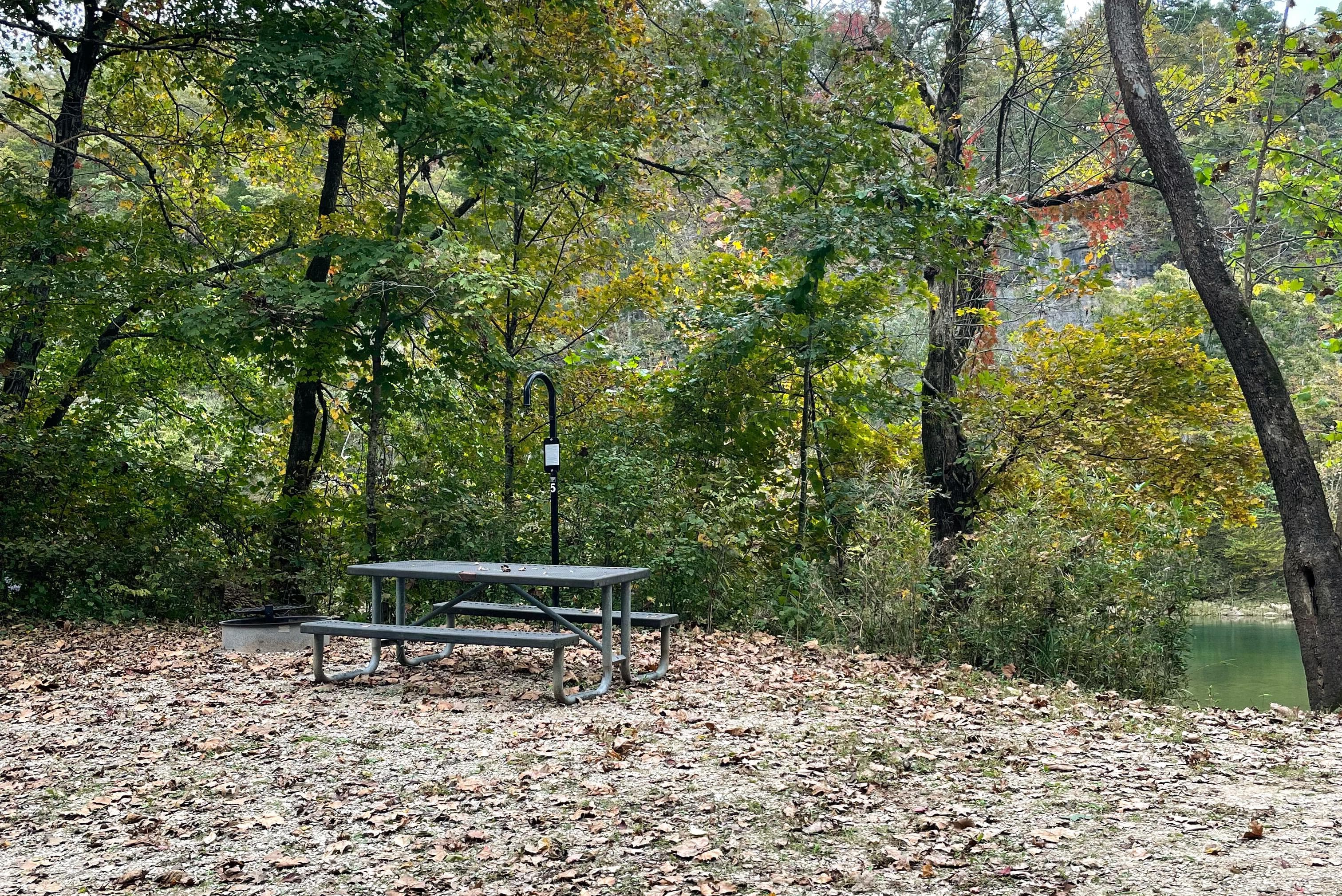 A campsite with fallen leaves on the ground.