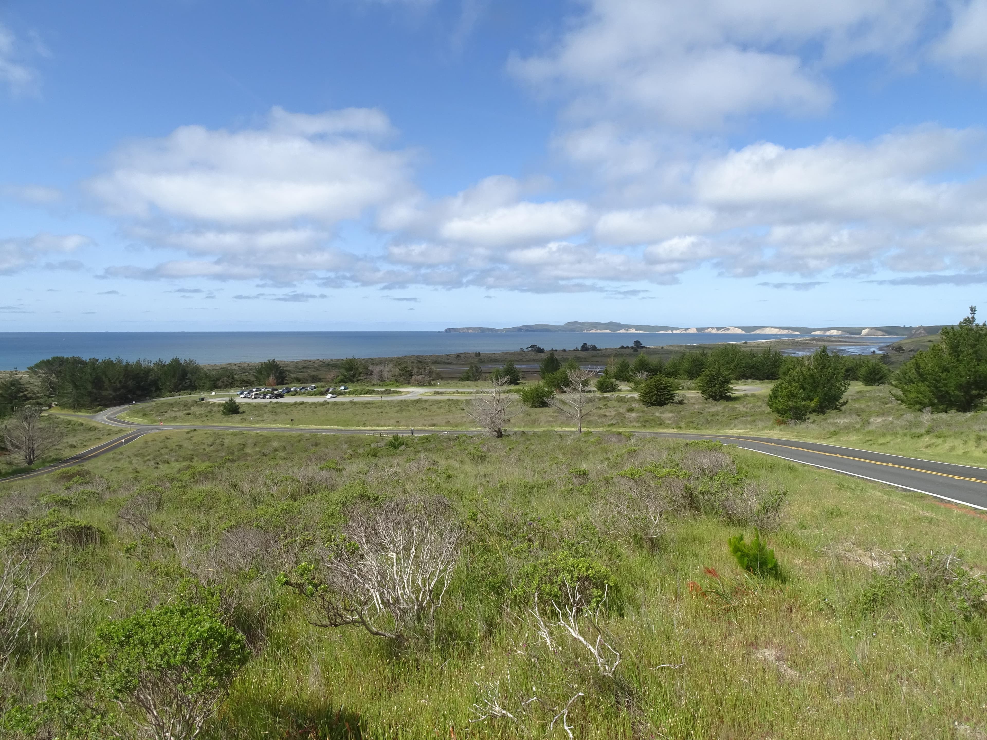 A few dozen cars parked in a long and narrow gravel parking lot with the ocean in the background.