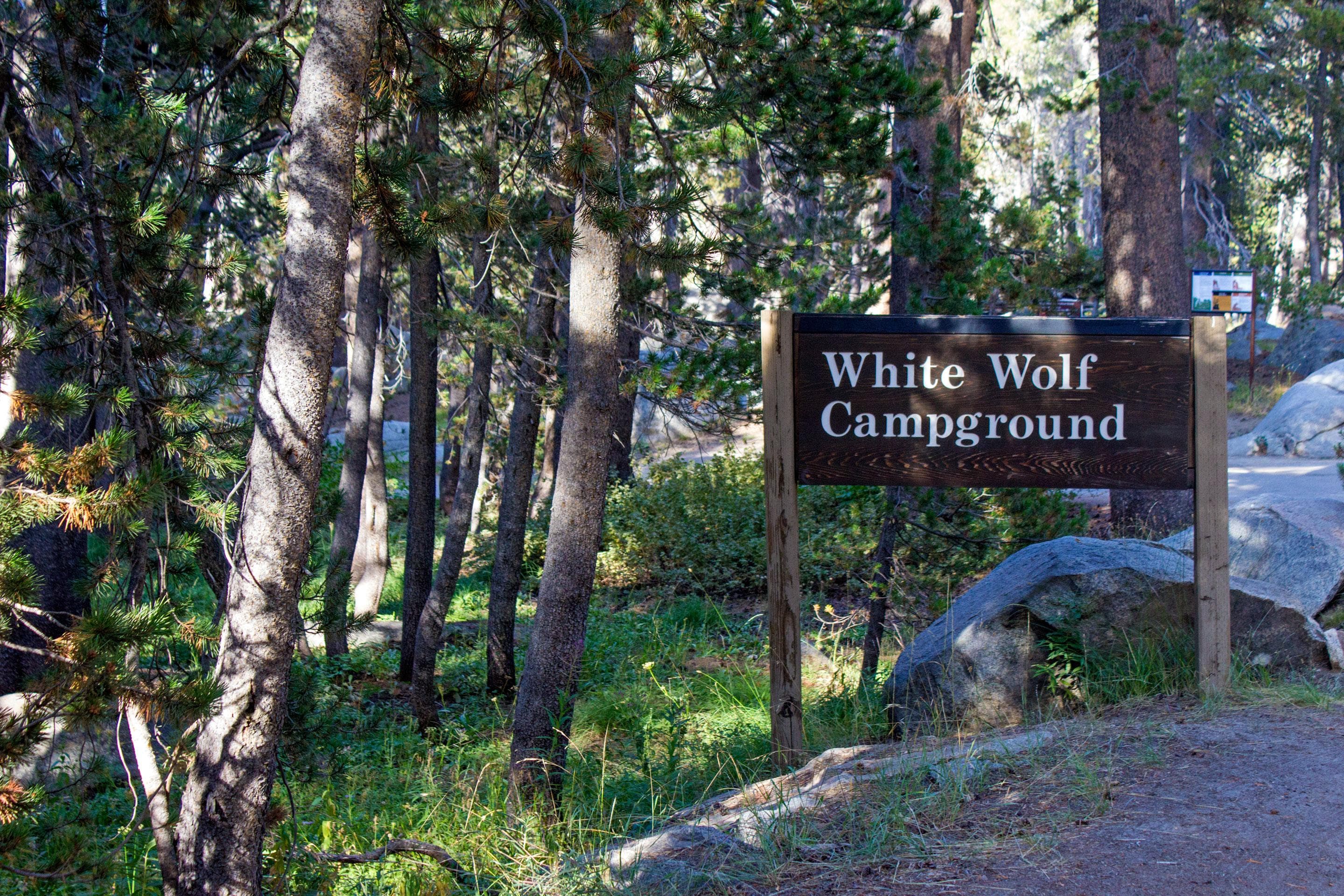 A wood sign on the side of a road reads White Wolf Campground.