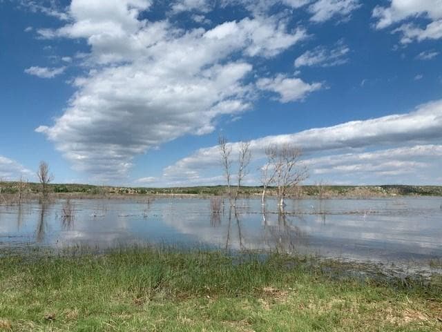 Chimney Hollow area with a view of the shoreline. The lake is bright blue and the clouds are white.