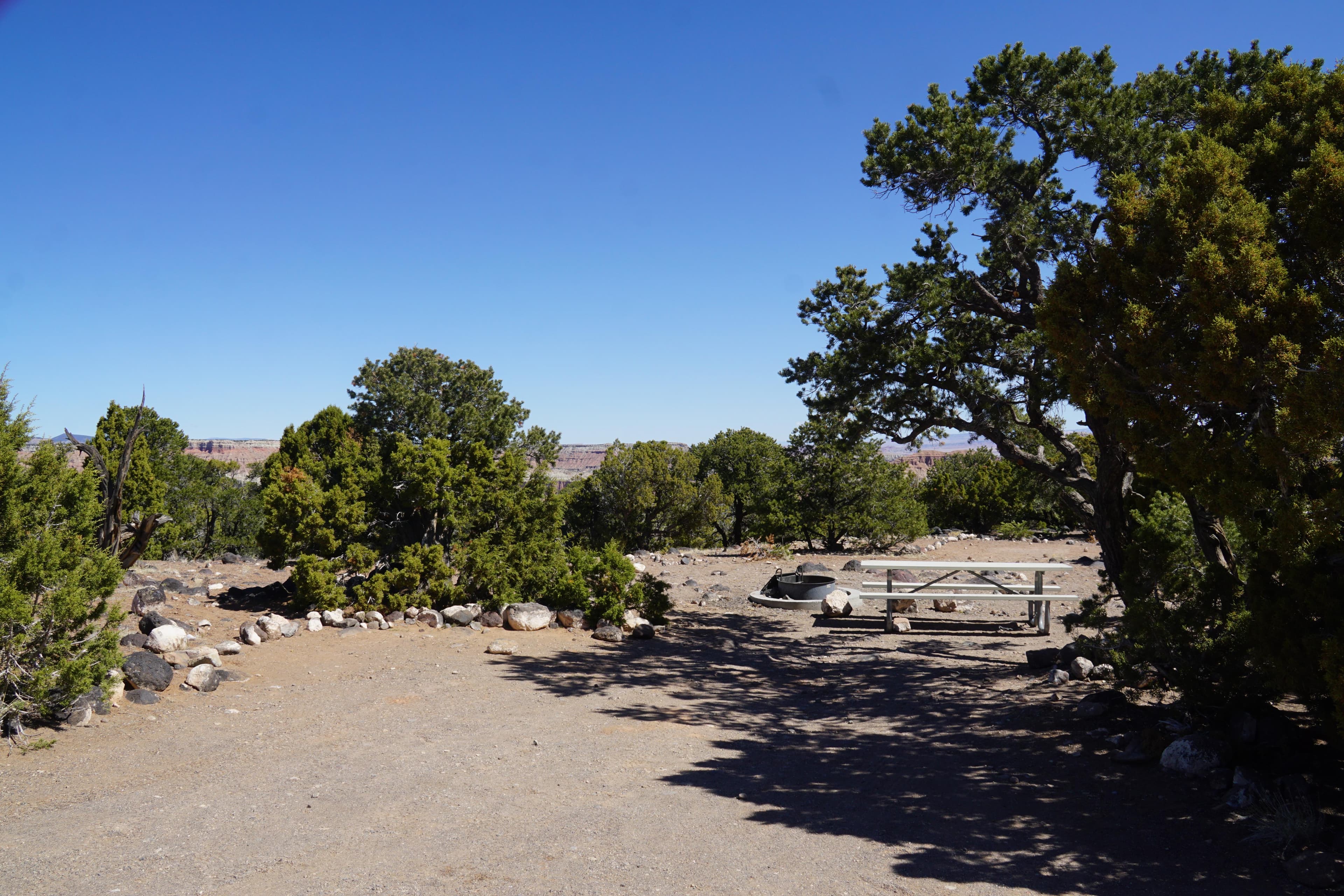 a dirt road passes a metal picnic table under juniper trees