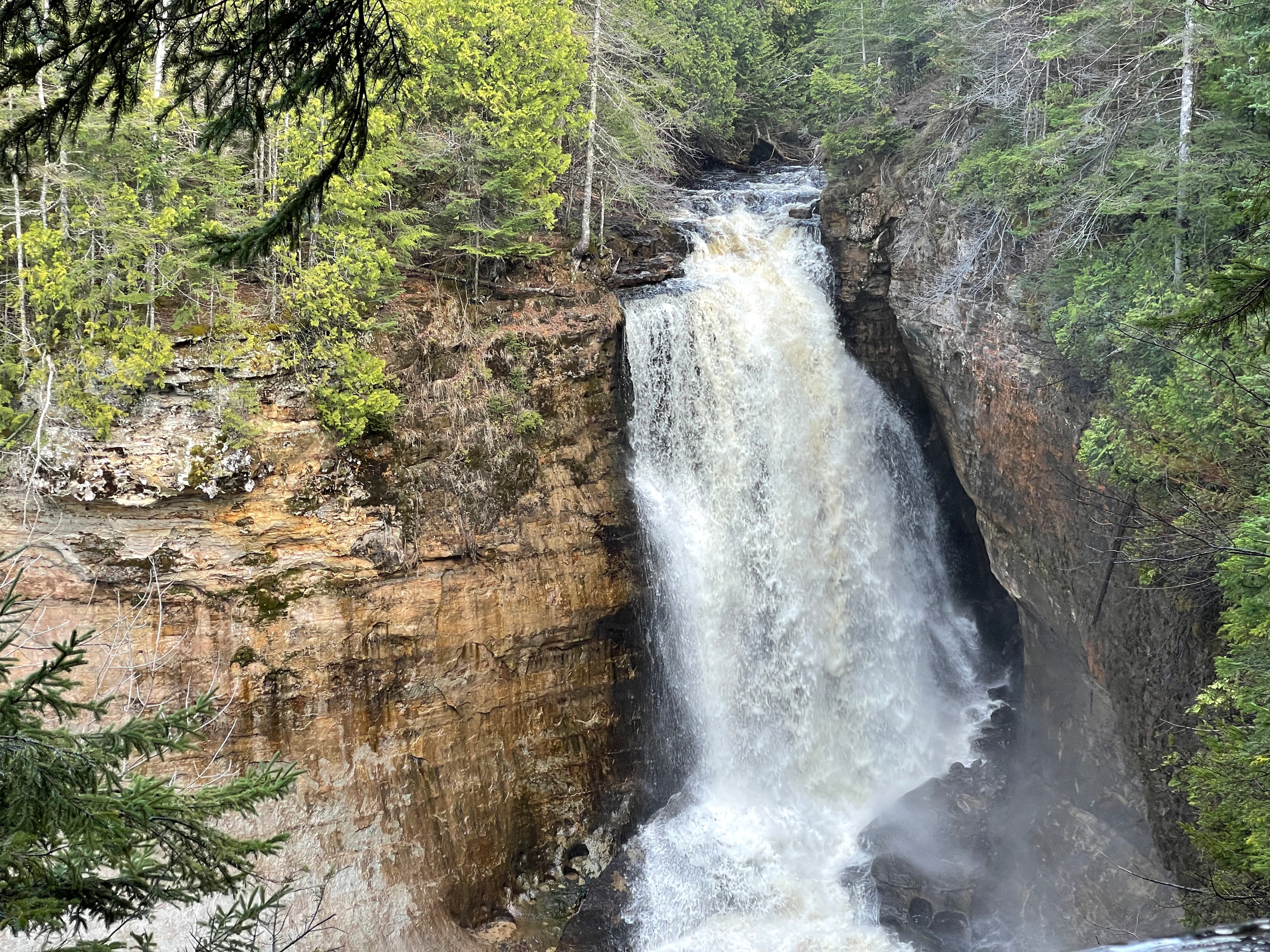 Miners Falls flowing over a forested cliff