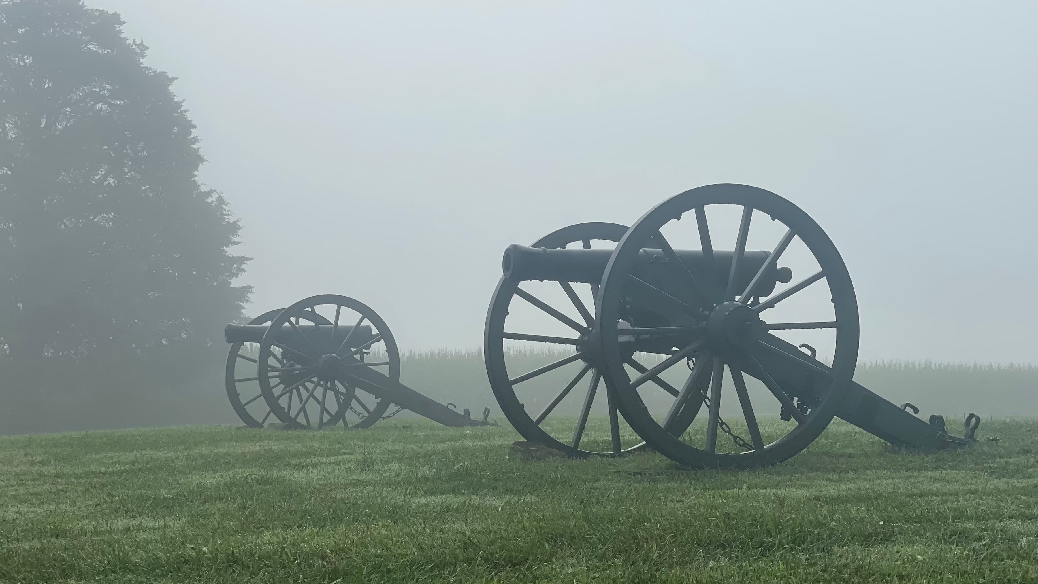 Two cannons shrouded in fog with green grass and tall tree on the left side.