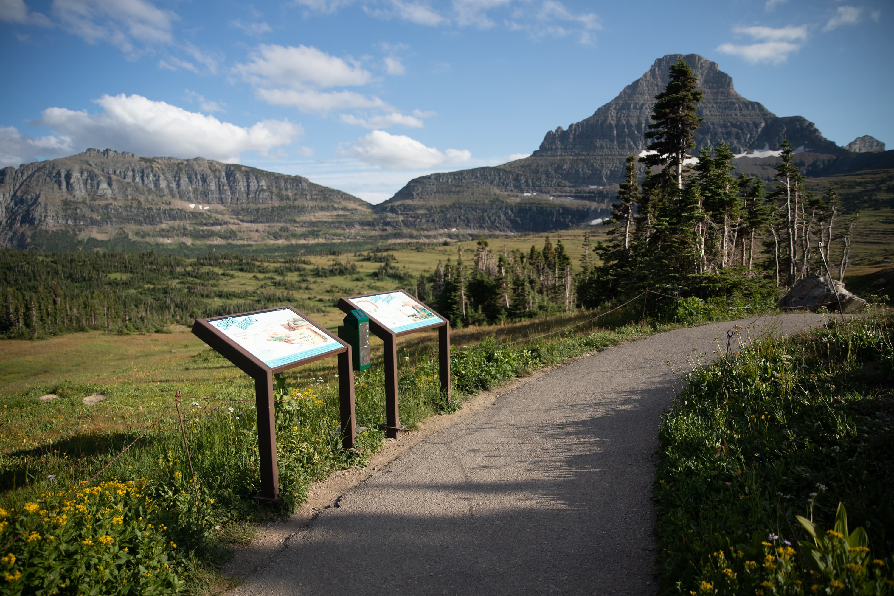 Two wayside exhibits stand next to a trail. It is a sunny day in the subalpine meadow.