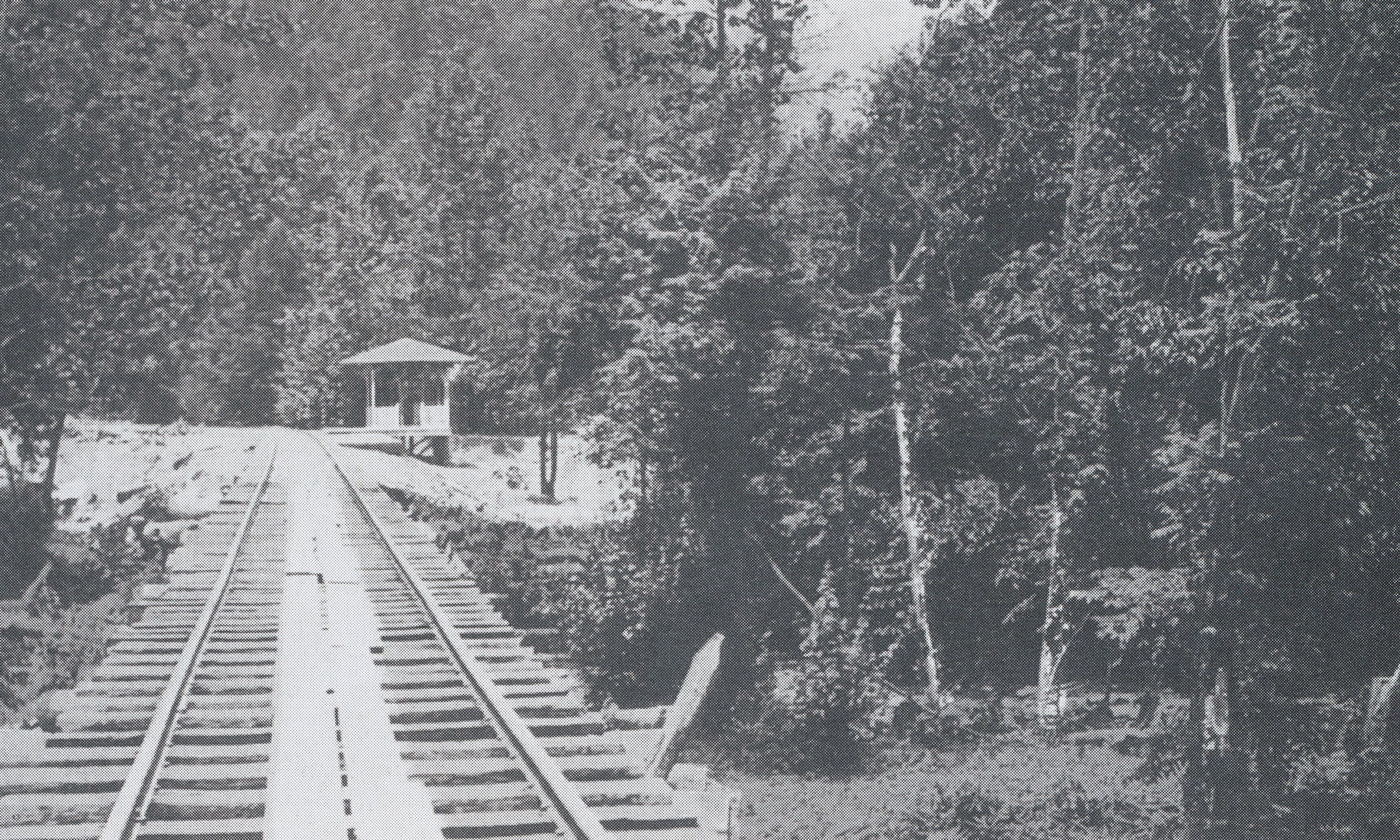 Black and white image of the historic railroad near the historic district of Elkmont.