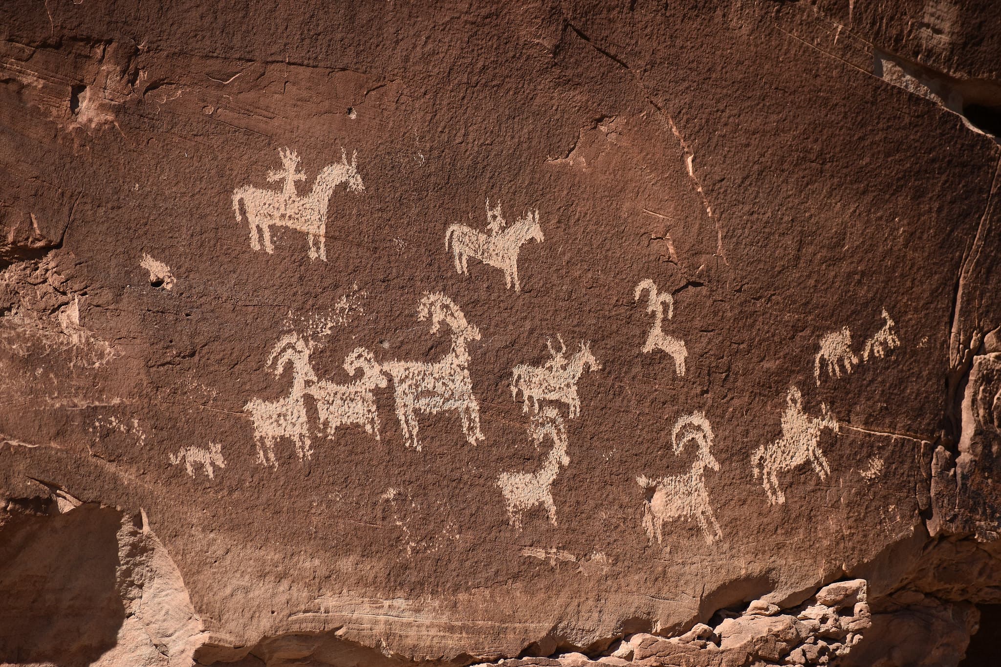 Petroglyphs (pecked rock markings) horse riders and a herd of several bighorn sheep.