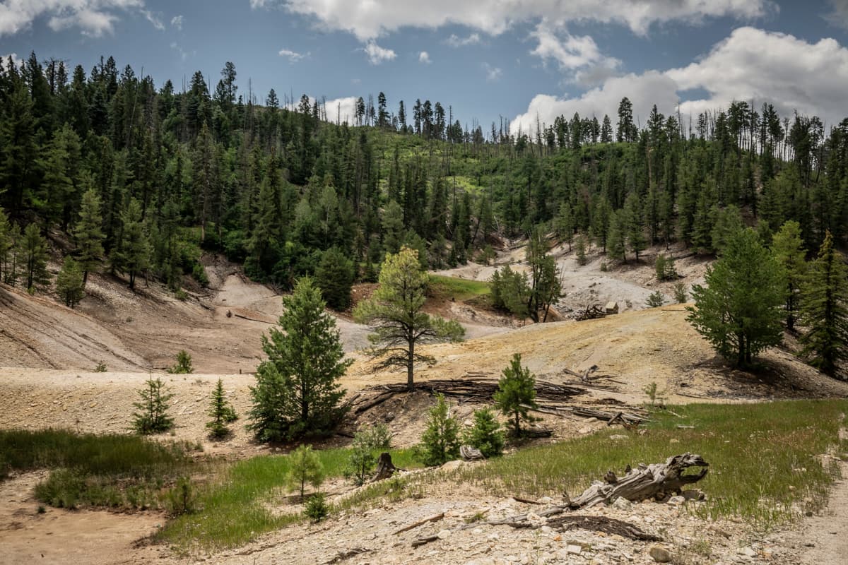 Looking across a hilly, geothermal landscape of bleached rock and soil with trees along the edges.