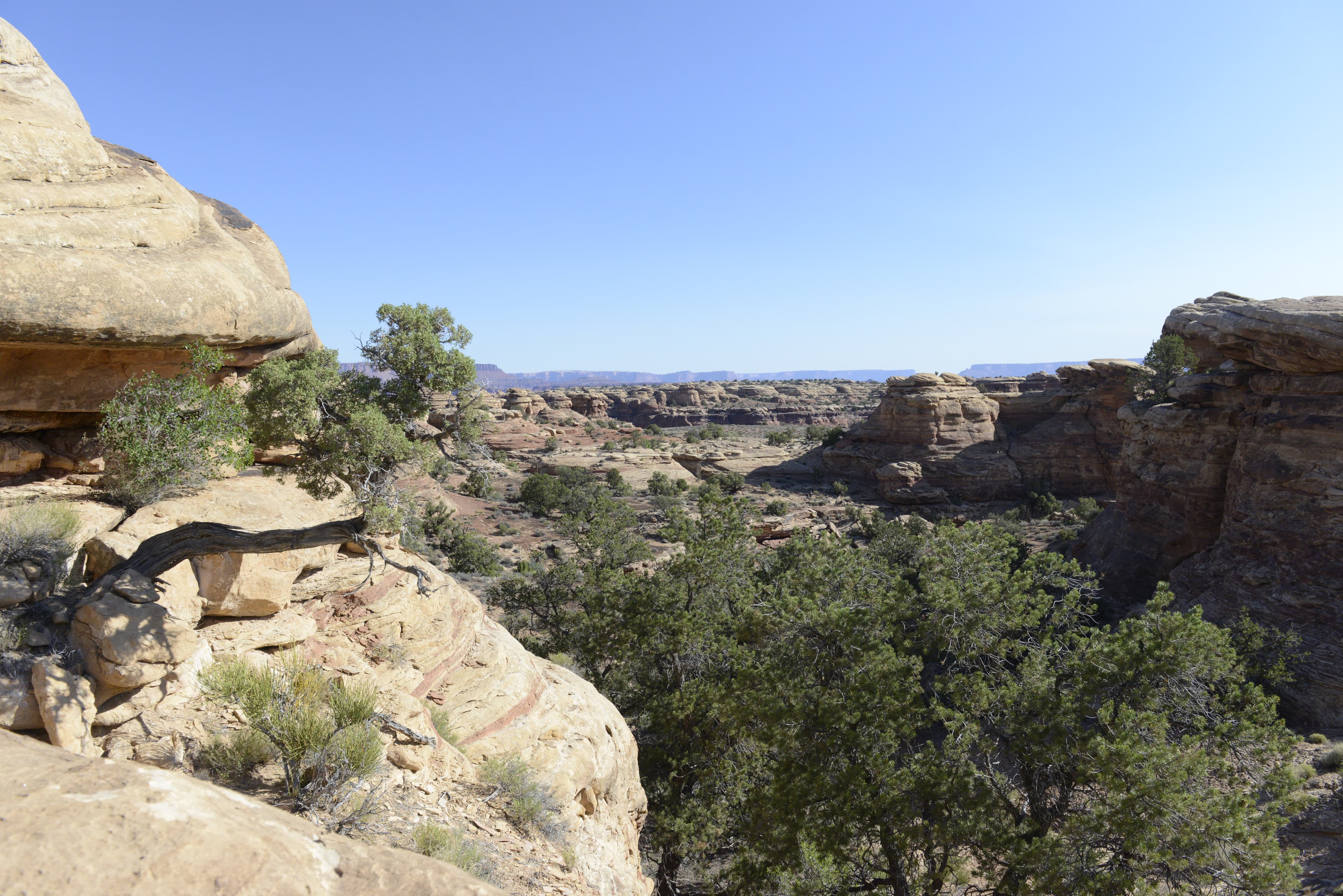 A photograph a rolling and colorful geologic landscape with scattered vegetation.