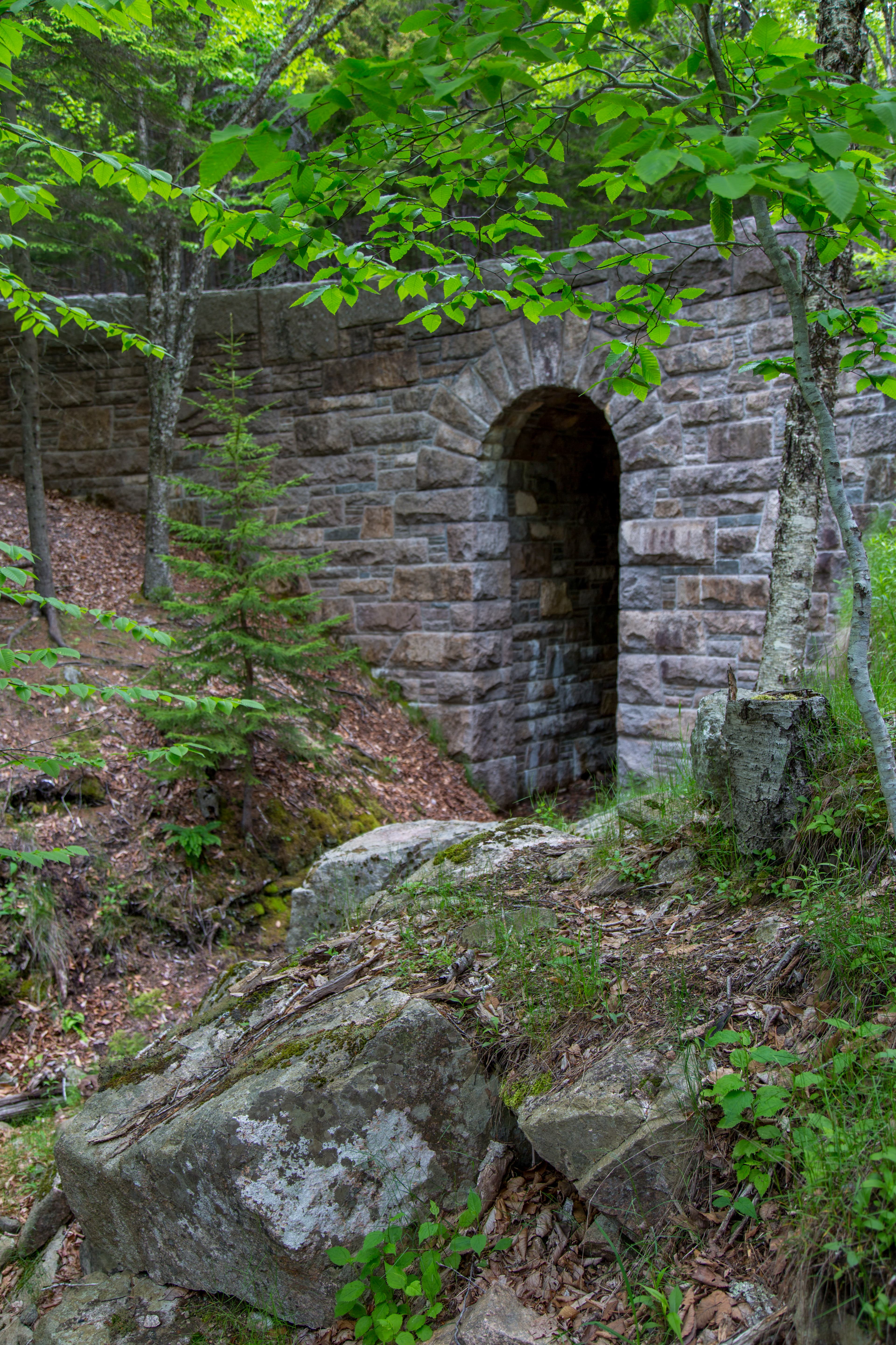Stone bridge with a narrow opening in a forested area
