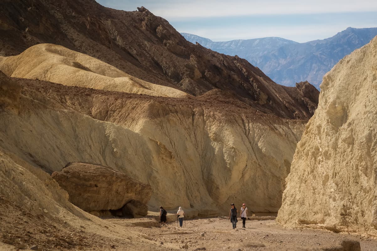 Four people walk up a rocky wash between yellow and tan canyon walls.