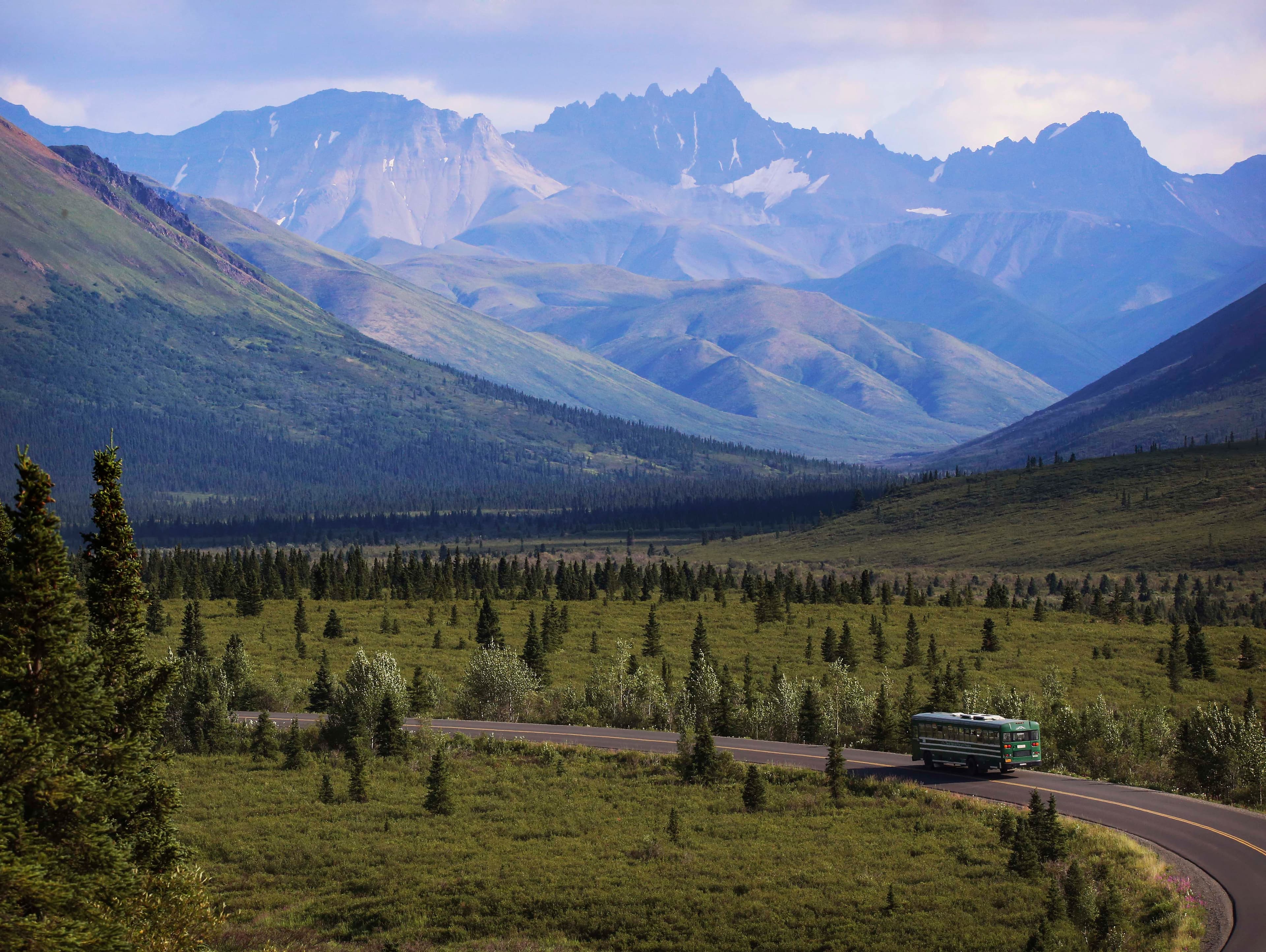 a narrow paved road winding through sparse forest in front of a mountainous backdrop