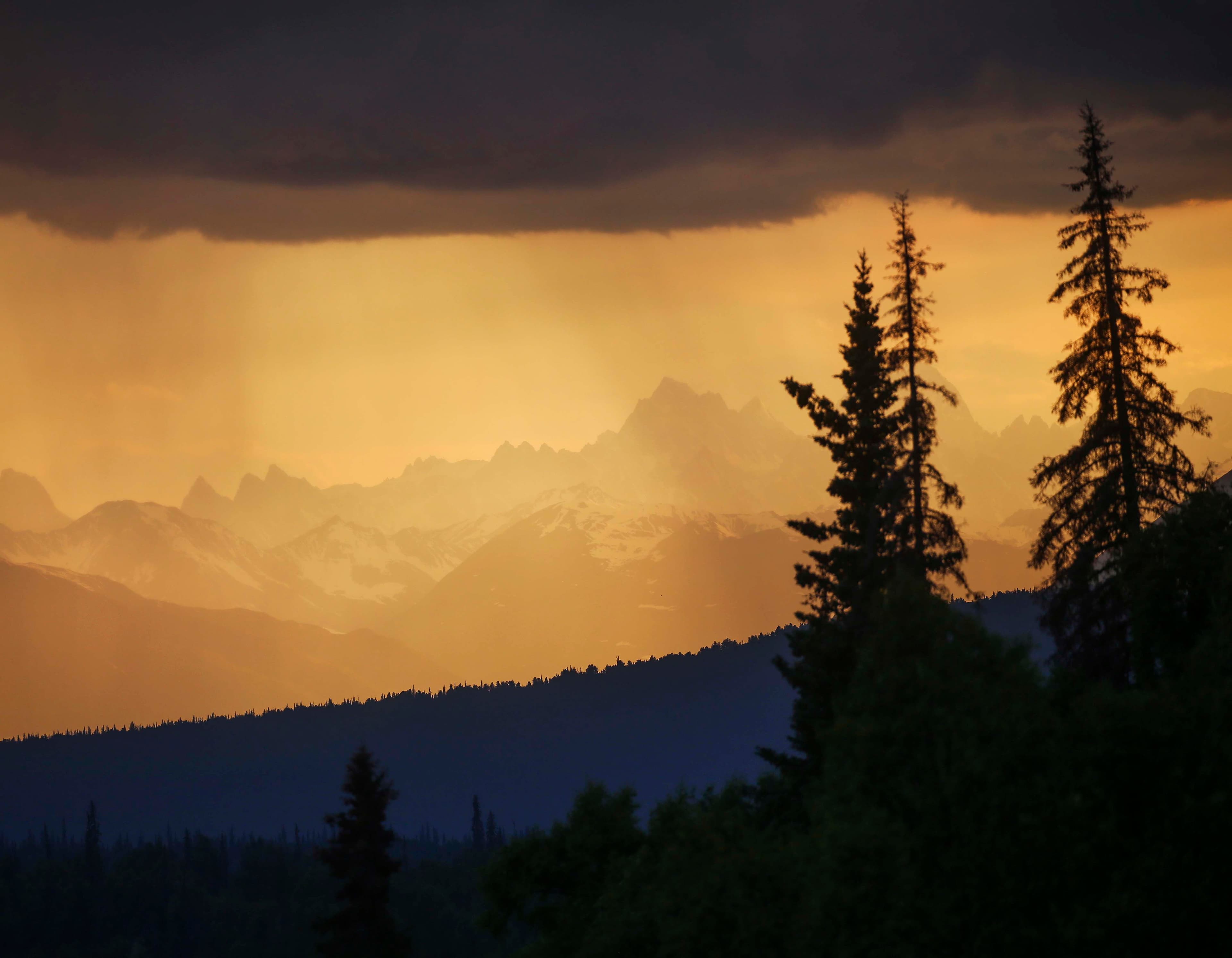 a dark forested landscape under heavy clouds