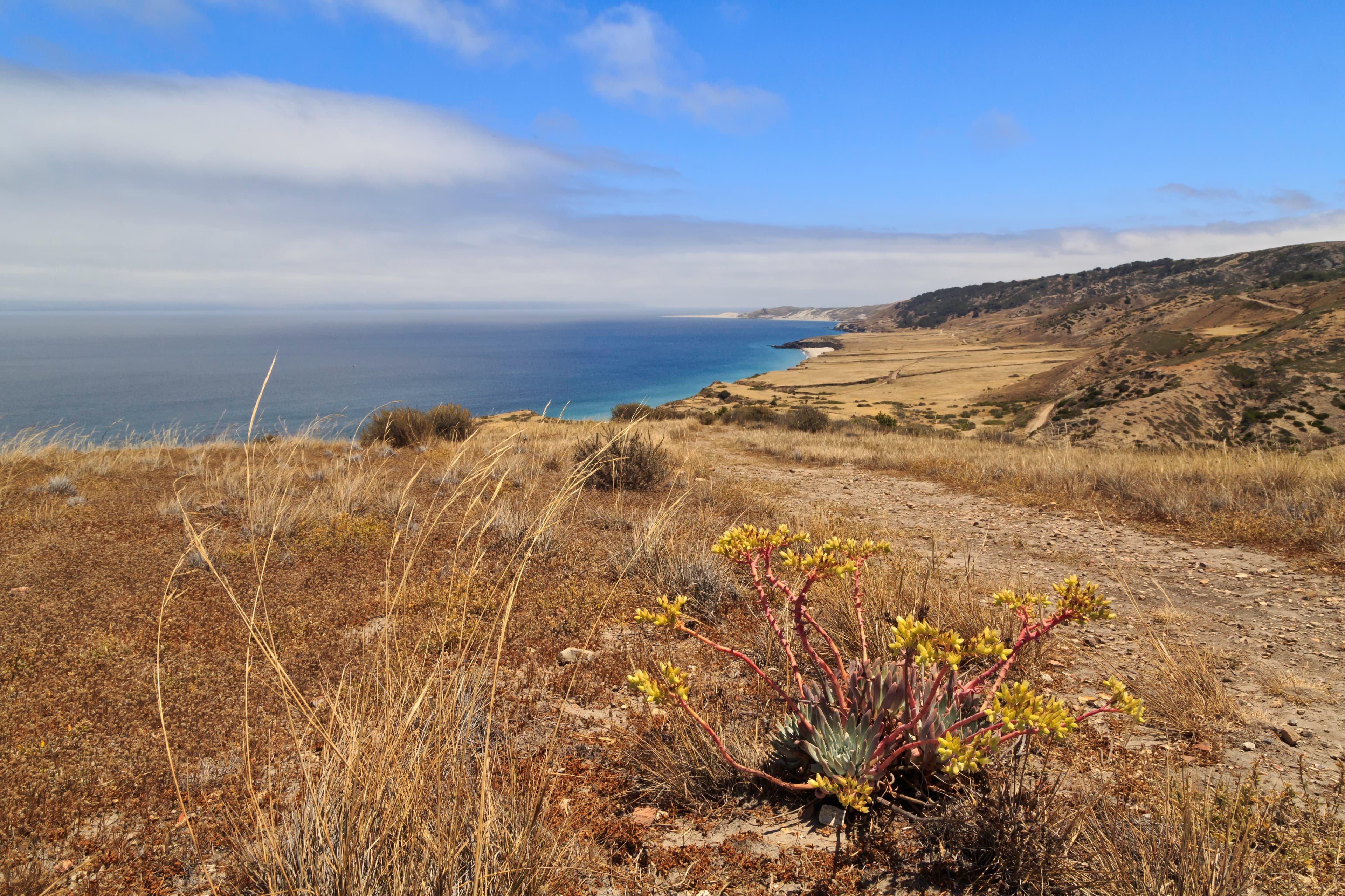 trail in grass overlooking shallow bay