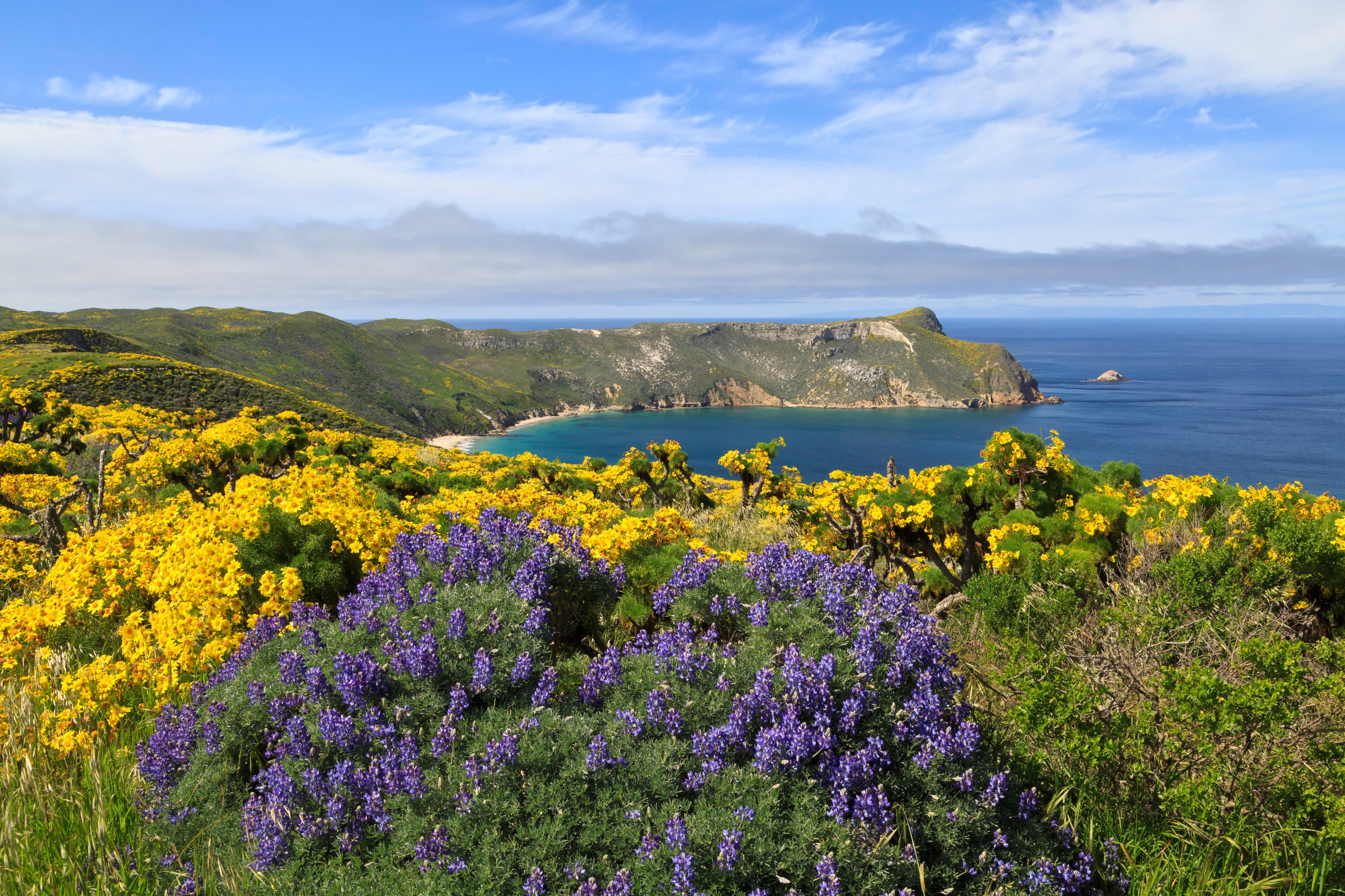 view from bluff overlooking harbor and steep ocean cliffs.