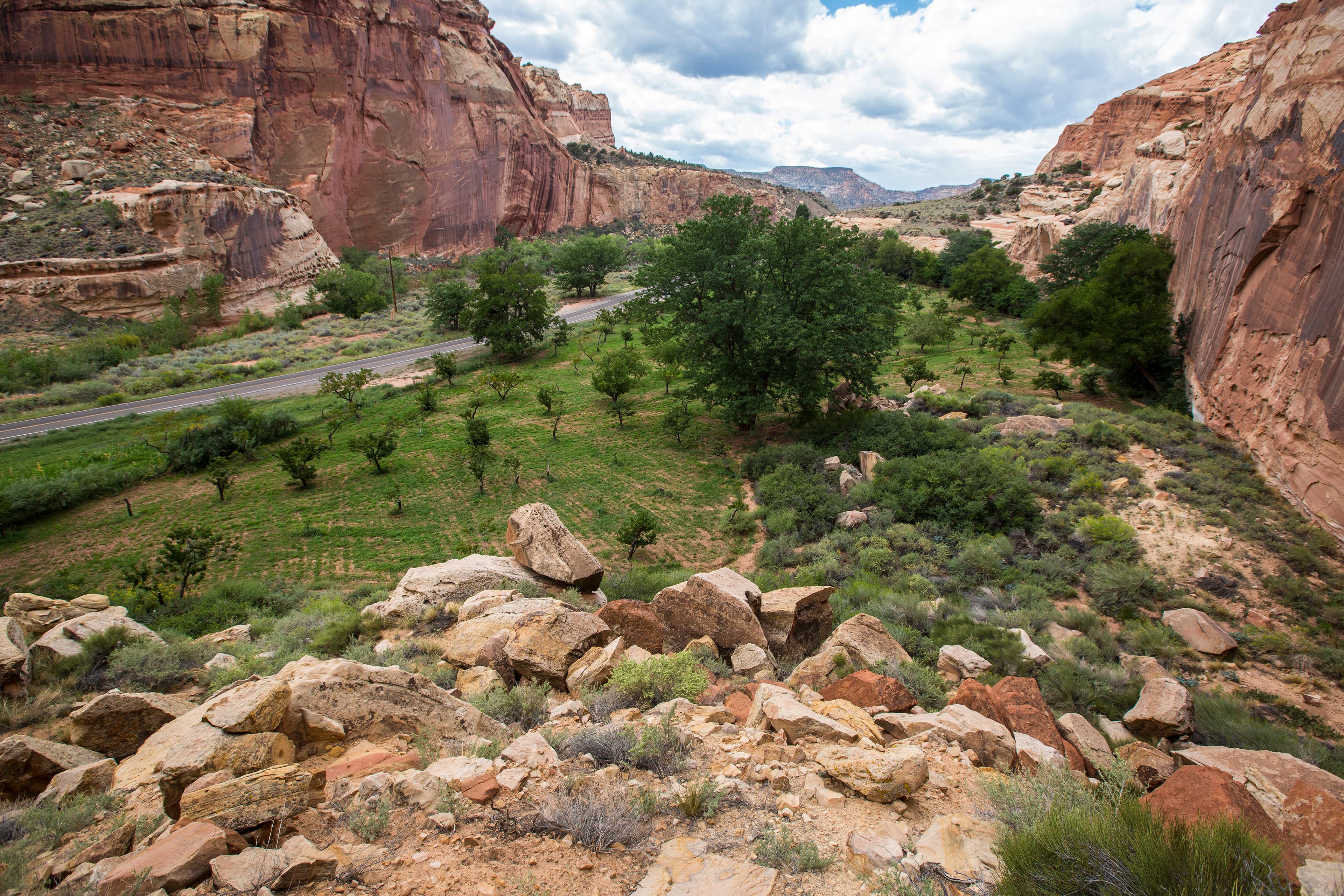 A green field of orchard trees along the highway with red cliffs on both sides.