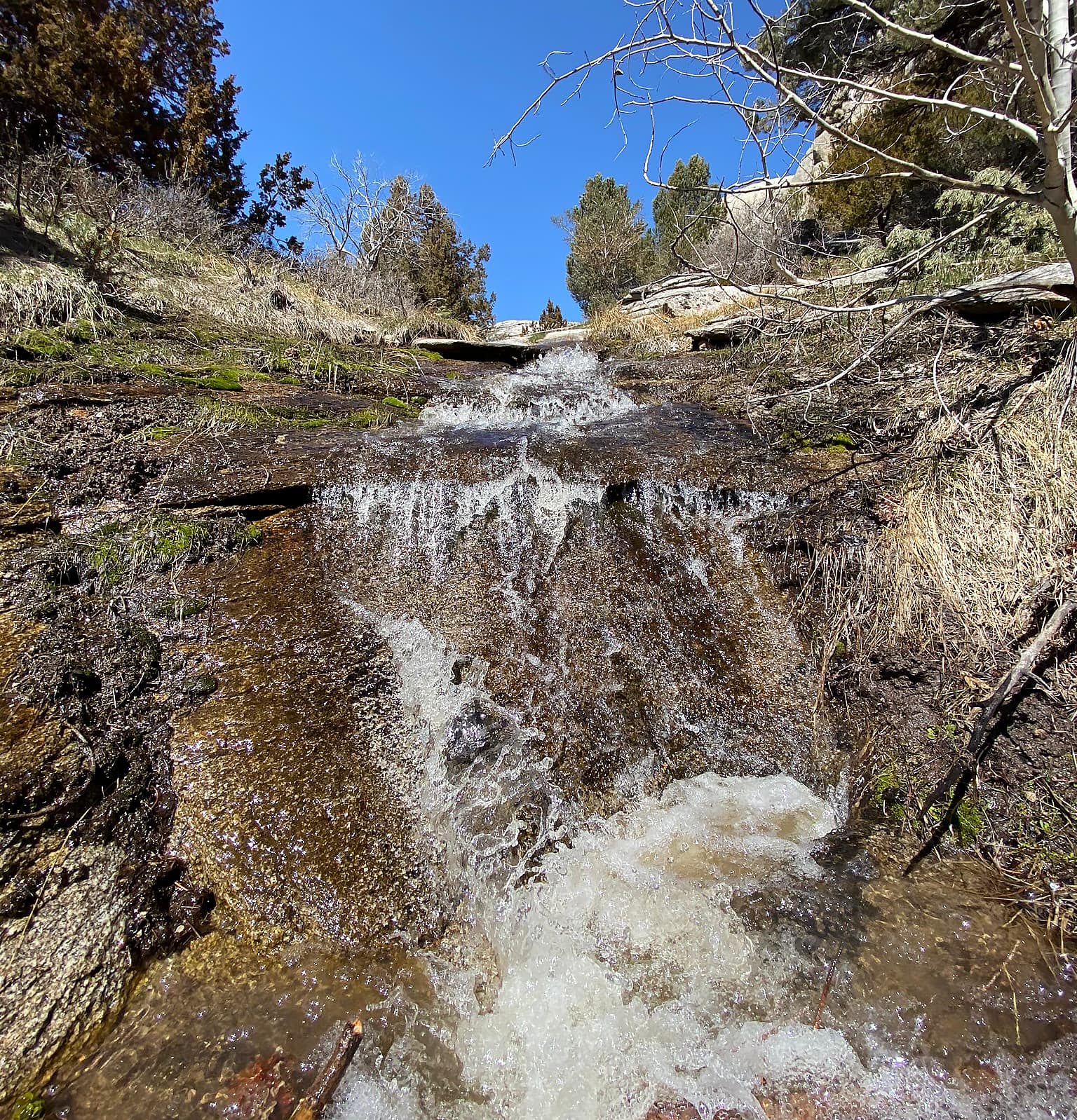 A small waterfall cascades down a shallow granite channel in springtime.